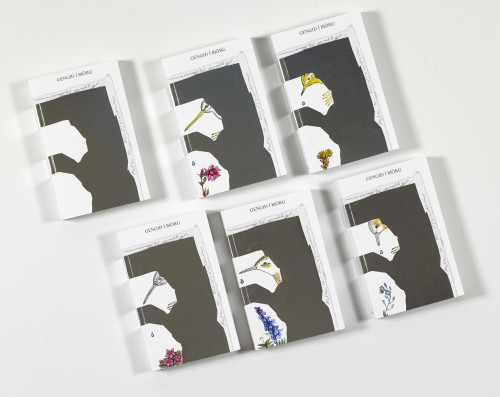 Gengið í björg - árituð og tölusett / signed and numbered